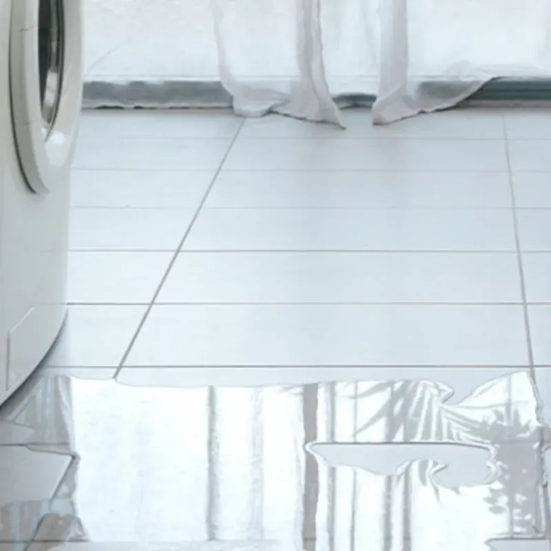 Appliance Leak Cleanup in Troy, AL