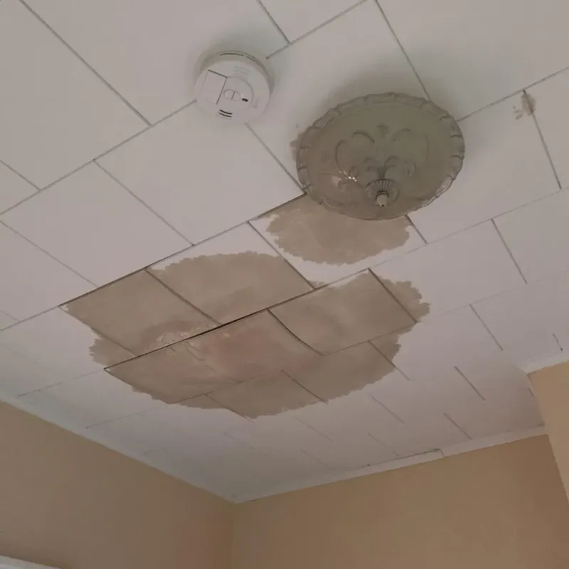 Ceiling Water Damage Repair in Troy, AL