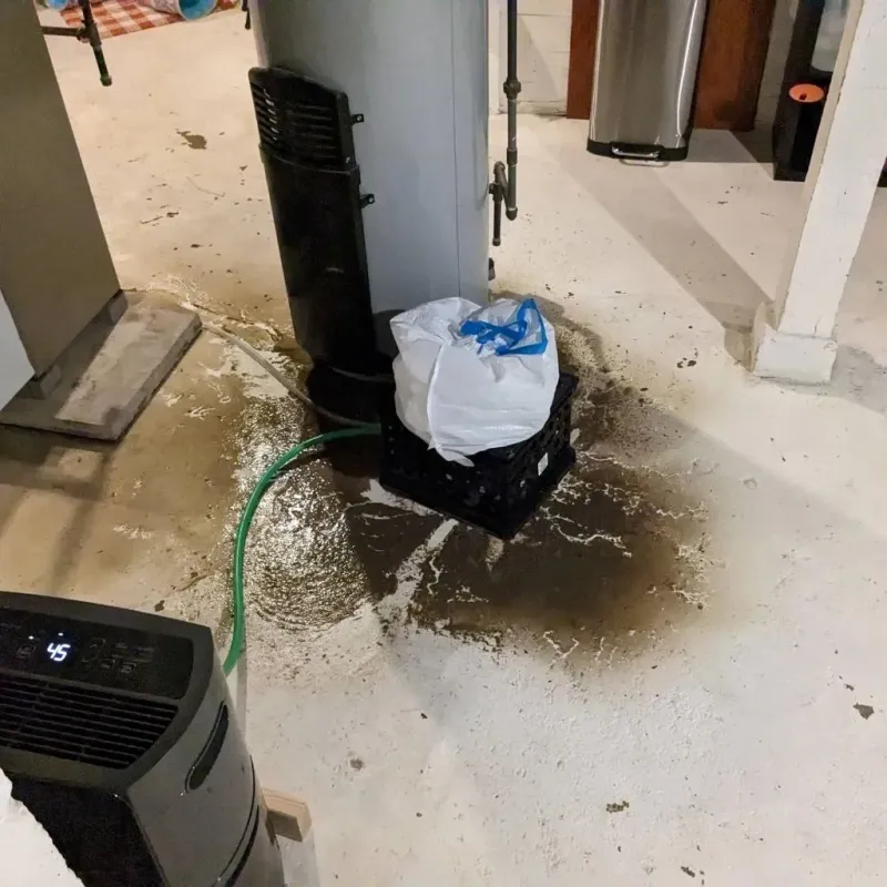 Sewage Backup Cleanup Service in Troy, AL